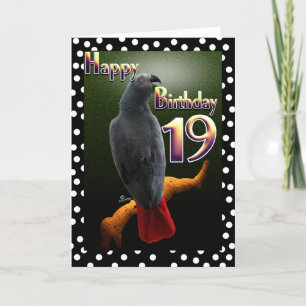 Parrot African Gray bird polka dot 19 Birthday Card