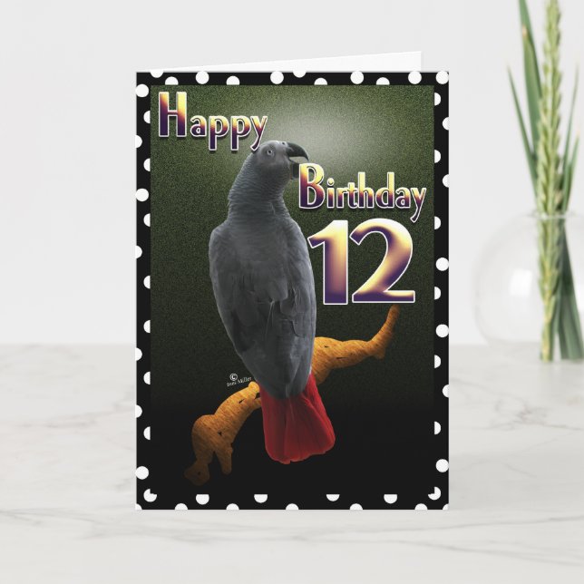 Parrot African Gray /gray Happy 12 Birthday Avian Card (Front)