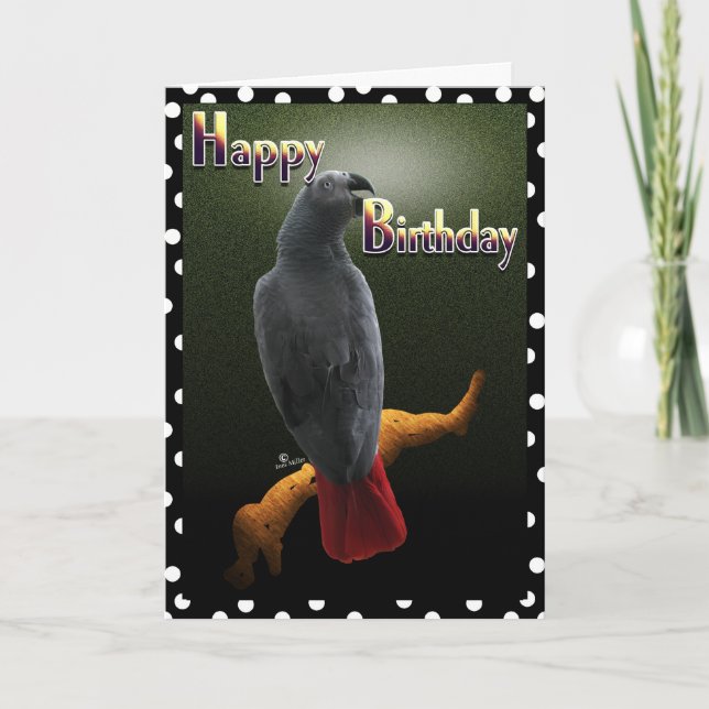 Parrot African Grey Happy Birthday Avian bird card (Front)
