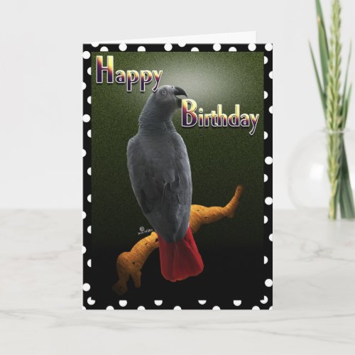 Parrot African Grey Happy Birthday Avian bird card