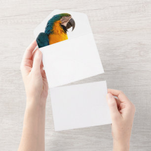 Parrot all in one invitation