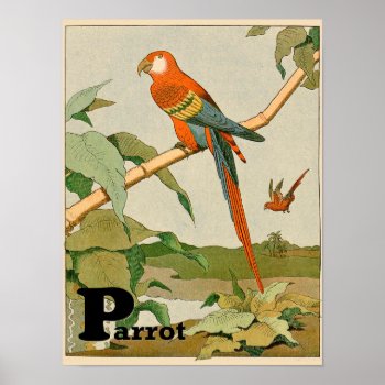 Parrot Alphabet Animal In The Jungle Poster by kidslife at Zazzle