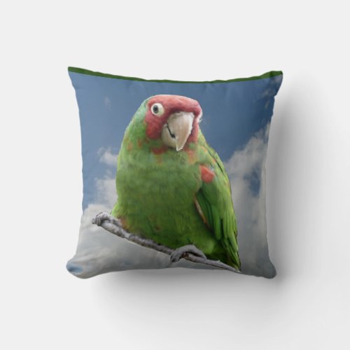 Parrot American Mojo Pillow