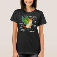 Parrot Anatomy I Green Cheek Pineapple Conure