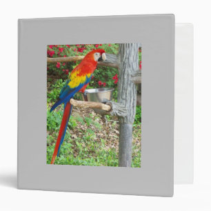 Parrot Avery Binder