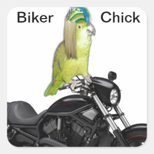 Parrot Biker Chick on Square Sticker