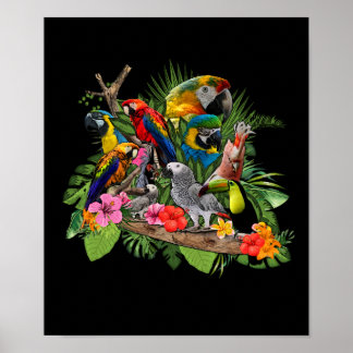 Parrot Bird African Gray Parrot Cockatiel Poster