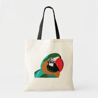 Parrot Bird Animal Bird Lover