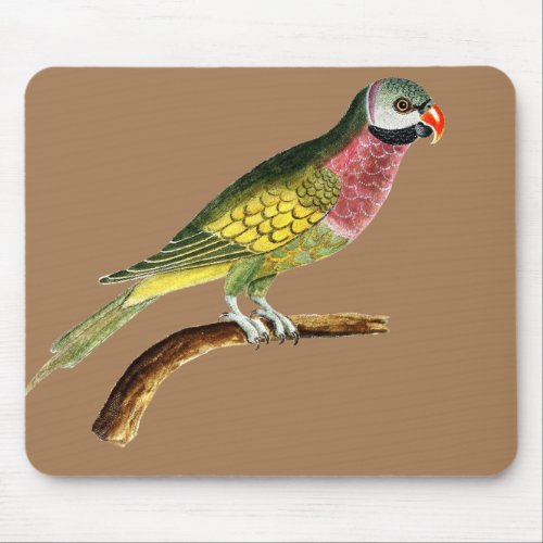 parrot_bird_animal_colorful mouse pad