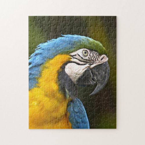 Parrot bird beautiful jigsaw puzzle