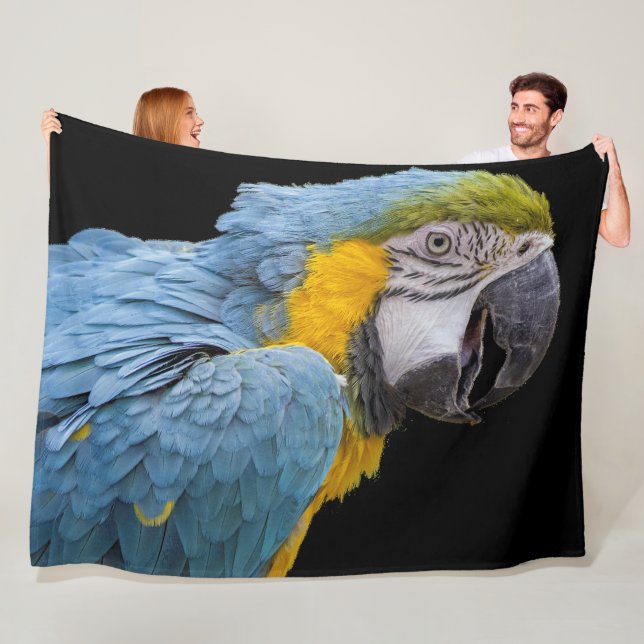 Parrot Bird on Black Fleece Blanket (In Situ)