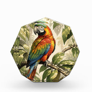 Parrot bird on tree drawing acrylic award