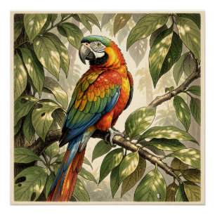 Parrot bird on tree drawing poster