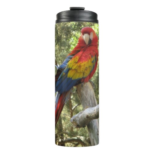 Parrot Bird Scarlet Macaw Pretty Colorful Animal Thermal Tumbler