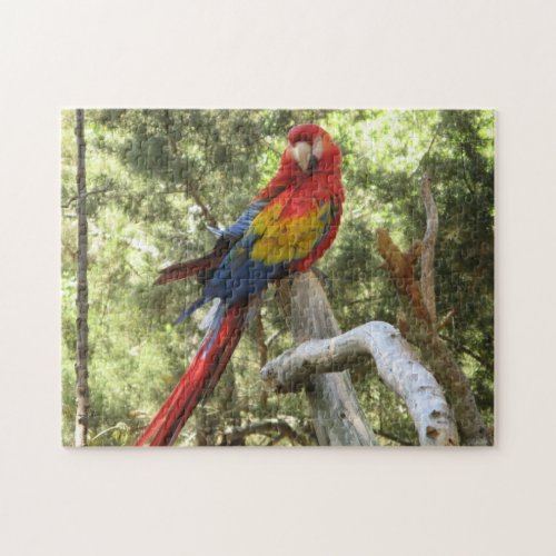 Parrot Bird Tropical Colorful Jigsaw Puzzle