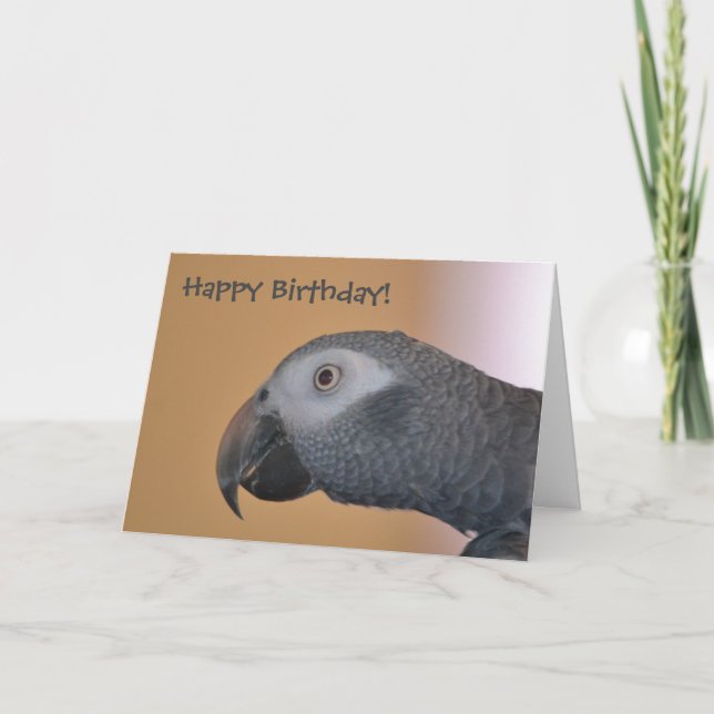 Parrot Birthday Card (Front)