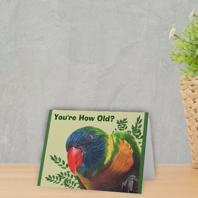 Parrot Birthday Card (Bright colourful macaw parrot in green leaves on green Birthday greeting card.)