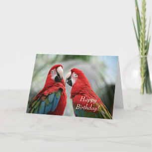 Parrot Birthday Greeting Card