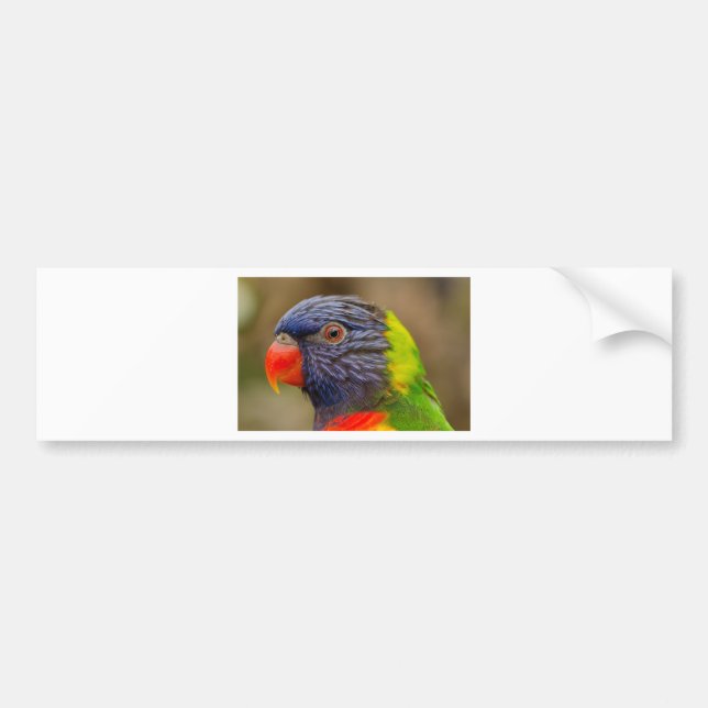 Parrot Bumper Sticker (Front)