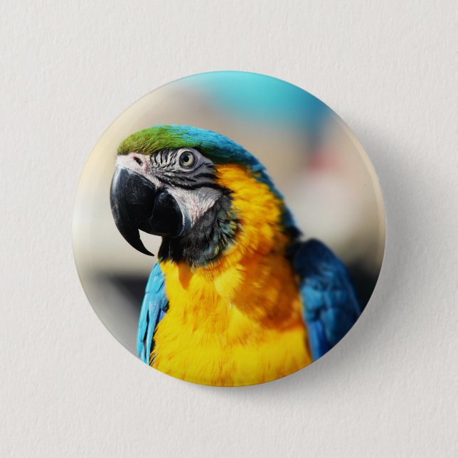 parrot button (Front)
