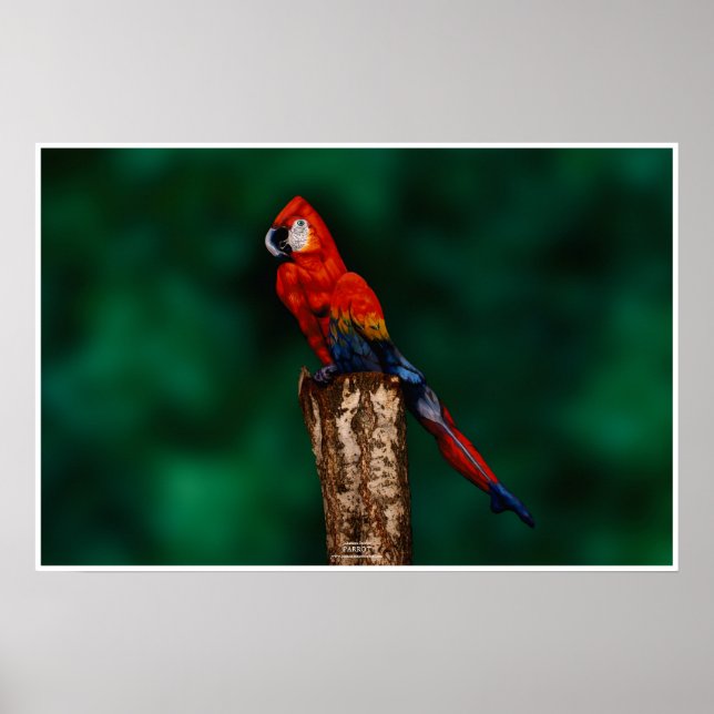 Parrot by Johannes Stötter Poster (Front)