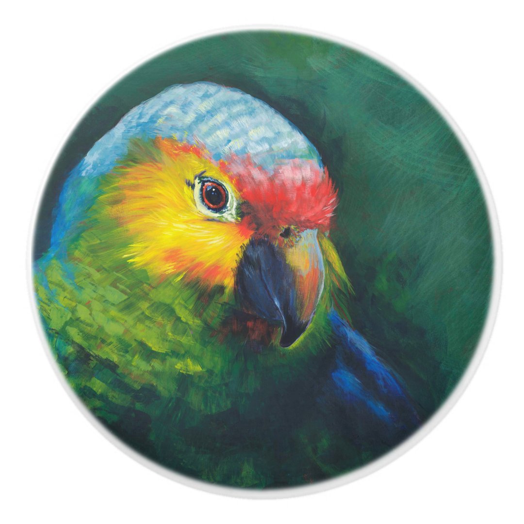 Parrot knobs Zazzle