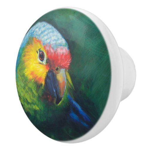 Parrot knobs Zazzle