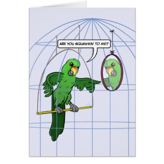 Parrot Cage Fight Card