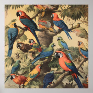 Parrot Canopy Naturalist Study Vintage Botanical Poster