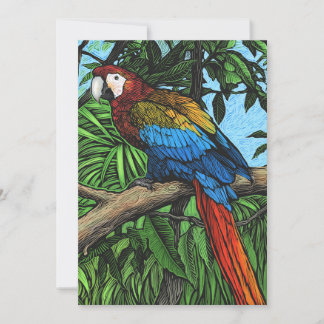 Parrot Card