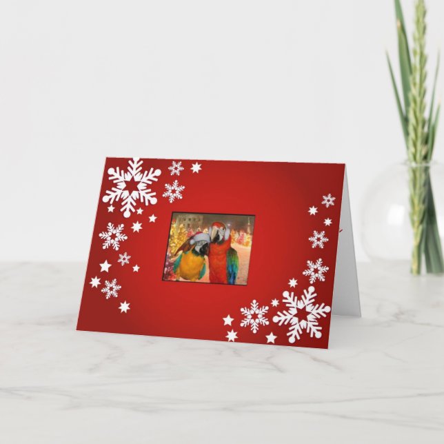 Parrot Card Red (Front)