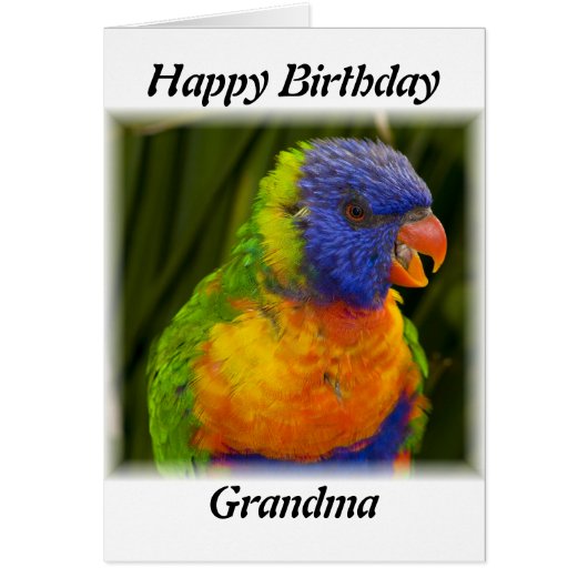 parrot cards (Front)