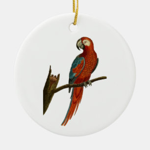 Parrot Ceramic Ornament