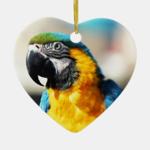 parrot ceramic ornament