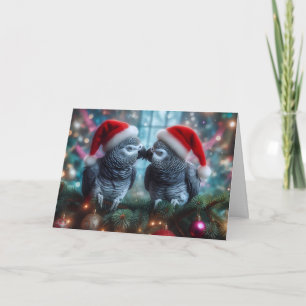 Parrot Christmas Card