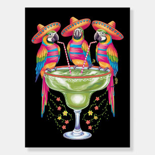 Parrot Cinco De Mayo Funny Drinking Mexican Fiesta Foam Board