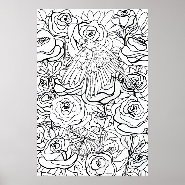 Parrot Clarity Poster (Front)