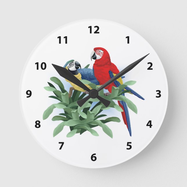 Parrot Clocks (Front)