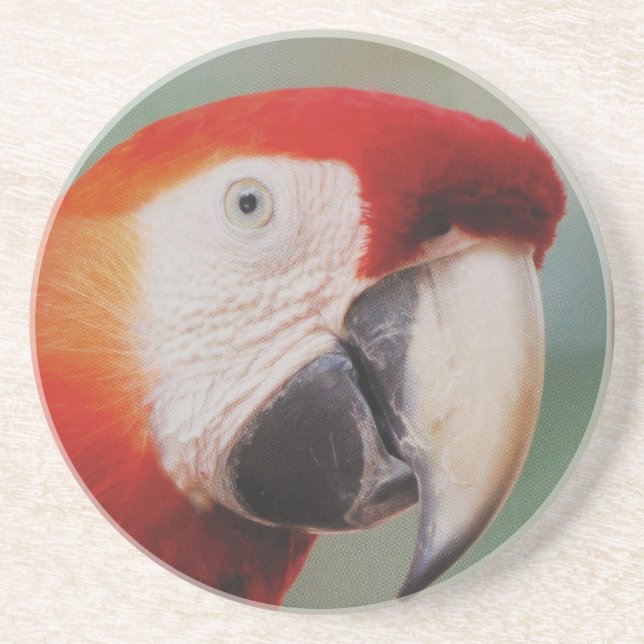 Parrot Coaster (Front)