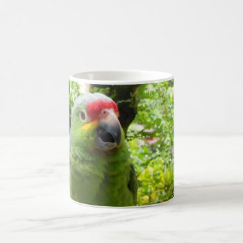 Parrot Coffee Mug by Rebecca_Reeder at Zazzle