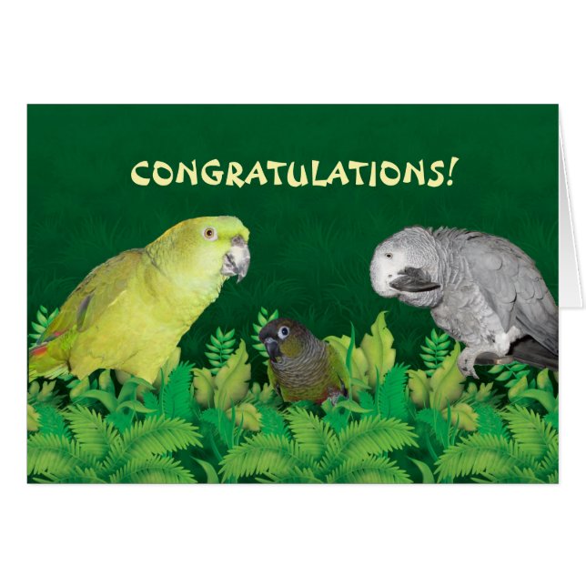 Parrot Congratulations Card (Front Horizontal)