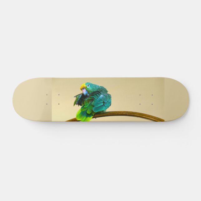 Parrot Deck (Horz)