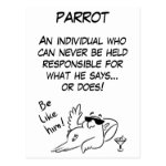Parrot definition postcard