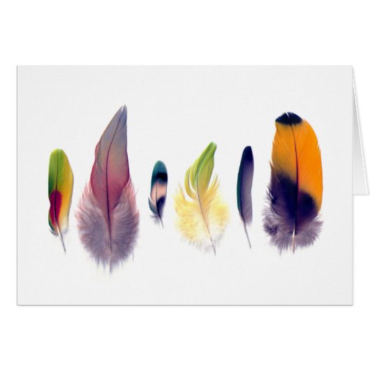 Parrot Feather Collection Cards (Front Horizontal)