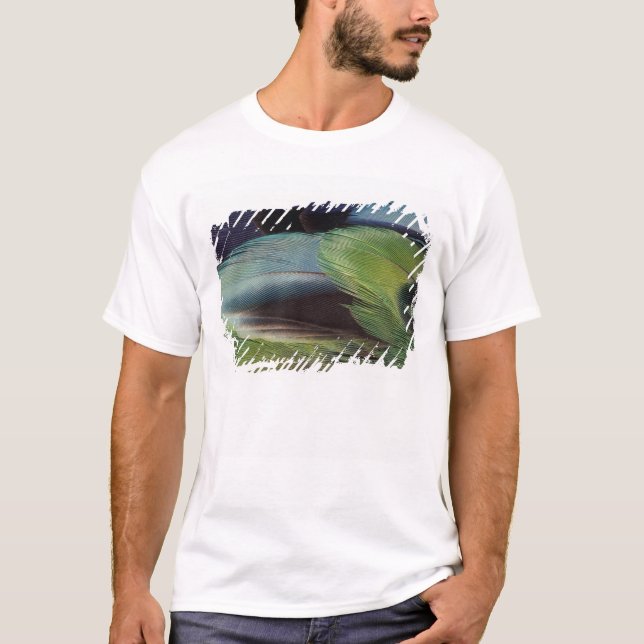 Parrot feather pattern design T-Shirt (Front)