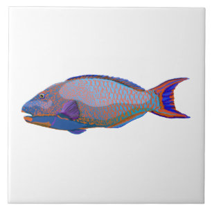 Parrot Fish Ceramic Tile
