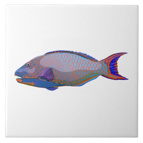 Parrot Fish Ceramic Tile