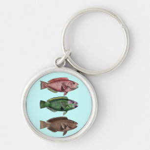 Parrot Fish Keychain