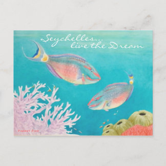 Parrot Fish Postcard