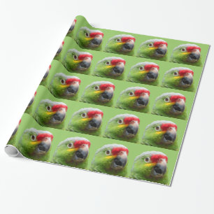 Parrot Gift Wrap